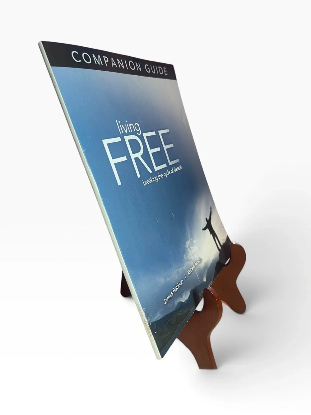 Life Outreach International this companion